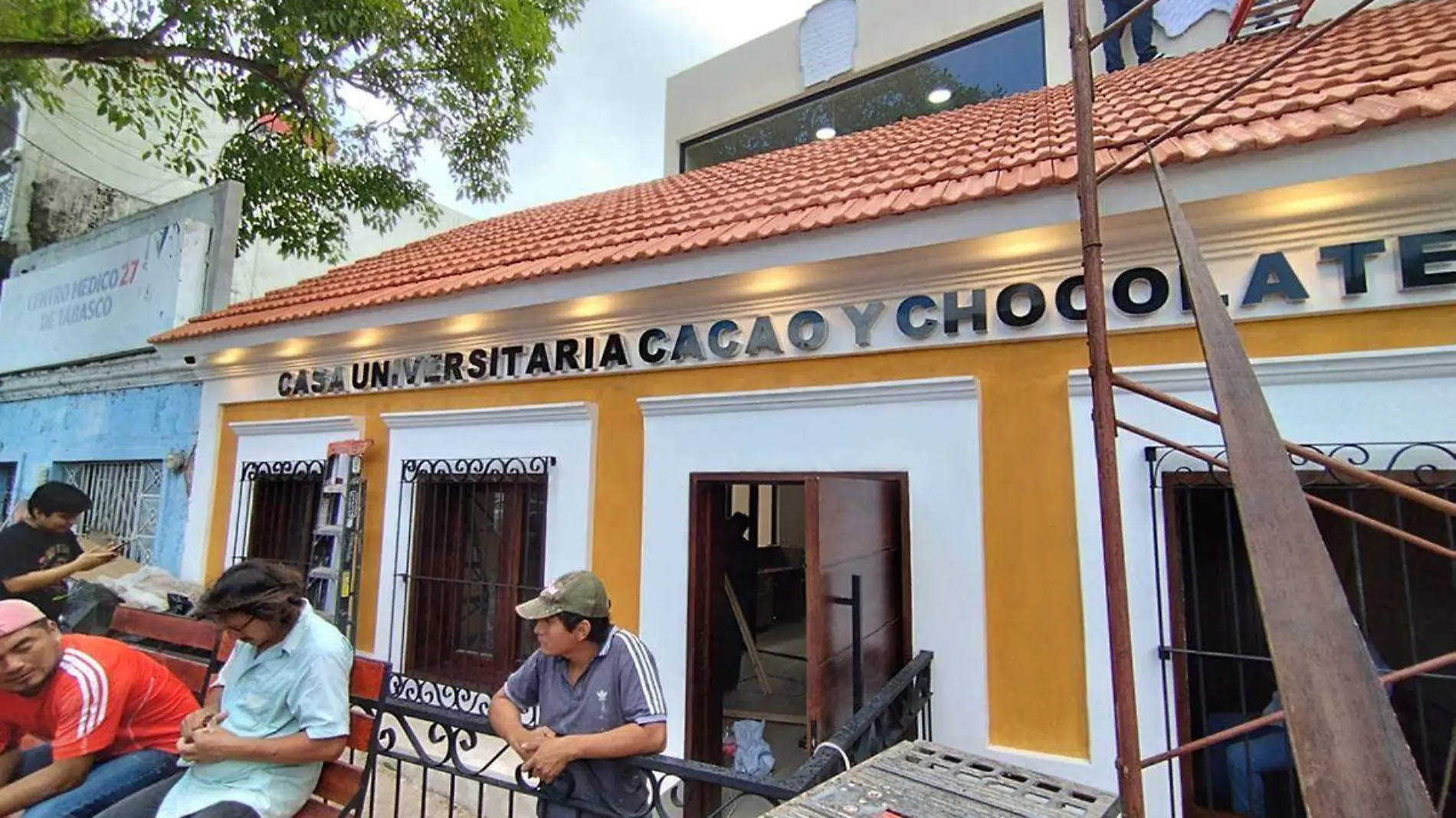 Cacao5 copia